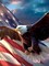 5D Diamond Art Kits for Adults Flag Eagle, Full Drill Diamond Art Animal Pictures Paint with Diamonds, DIY Cross Stitch Jewel Art Rhinestone Craft for Home Wall Decor 12x16 Inch